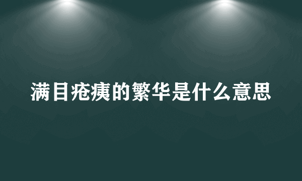 满目疮痍的繁华是什么意思