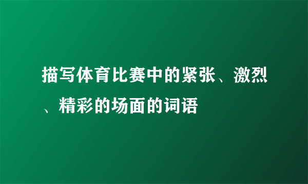 描写体育比赛中的紧张、激烈、精彩的场面的词语