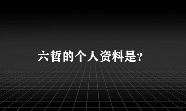 六哲的个人资料是？