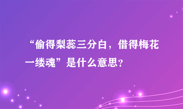 “偷得梨蕊三分白，借得梅花一缕魂”是什么意思？