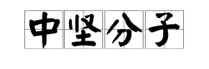 什么是“中坚分子”？“中坚”是什么意思？