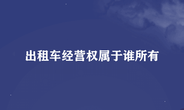 出租车经营权属于谁所有