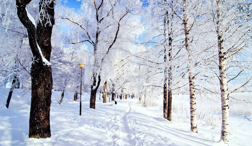 历史上香港有没有下过雪