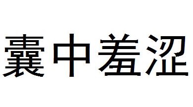 囊中羞涩是什么意思?