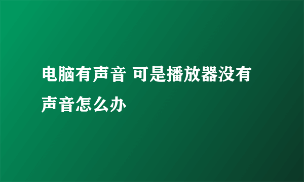 电脑有声音 可是播放器没有声音怎么办