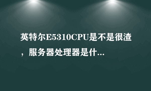 英特尔E5310CPU是不是很渣，服务器处理器是什么处理器