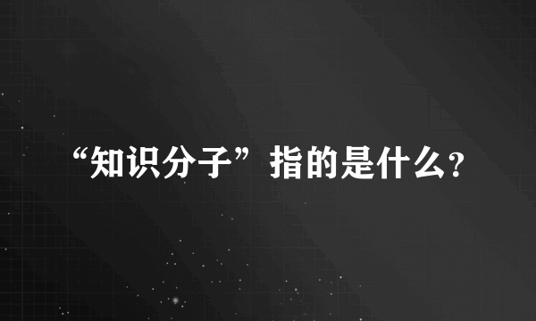 “知识分子”指的是什么？