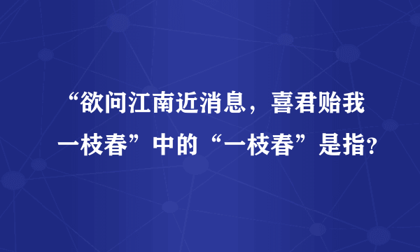 “欲问江南近消息，喜君贻我一枝春”中的“一枝春”是指？