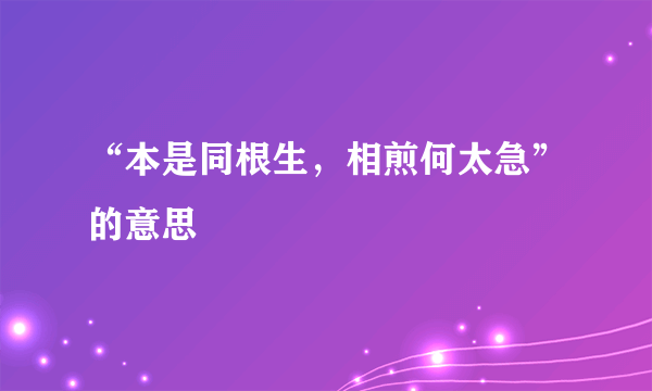 “本是同根生，相煎何太急”的意思