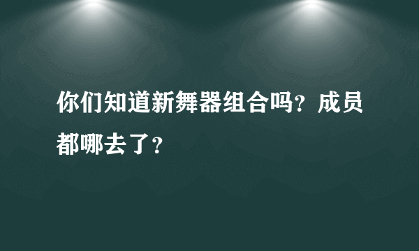 你们知道新舞器组合吗？成员都哪去了？