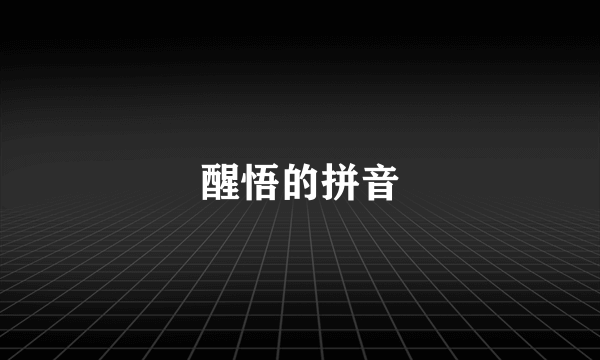 醒悟的拼音