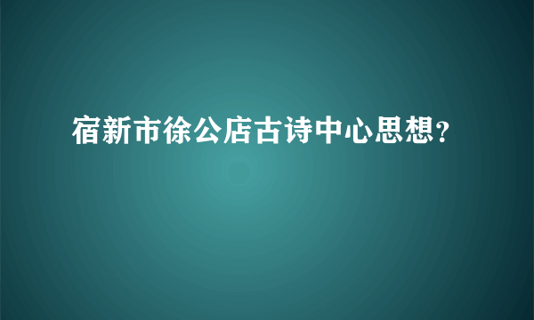 宿新市徐公店古诗中心思想？