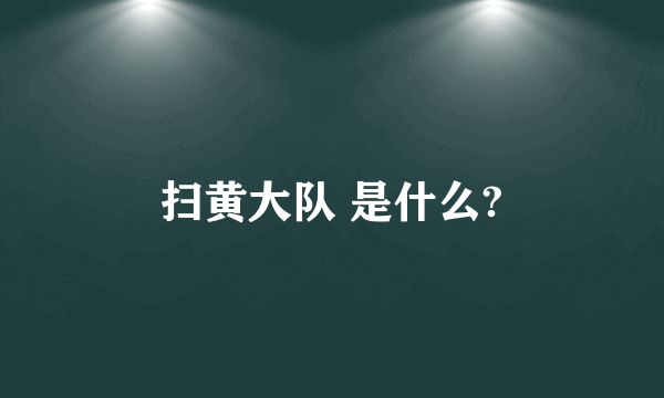 扫黄大队 是什么?