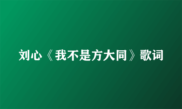 刘心《我不是方大同》歌词