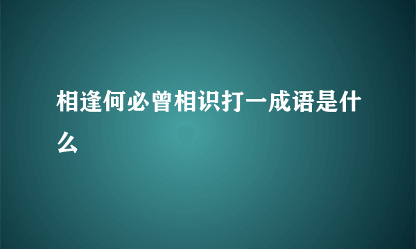 相逢何必曾相识打一成语是什么