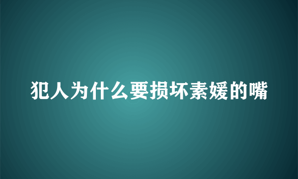 犯人为什么要损坏素媛的嘴