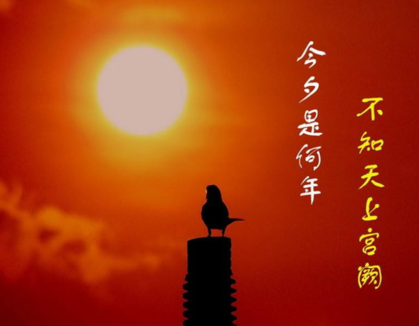 不知天上宫阙,今夕是何年?是什么意思?