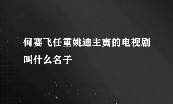 何赛飞任重姚迪主寅的电视剧叫什么名子