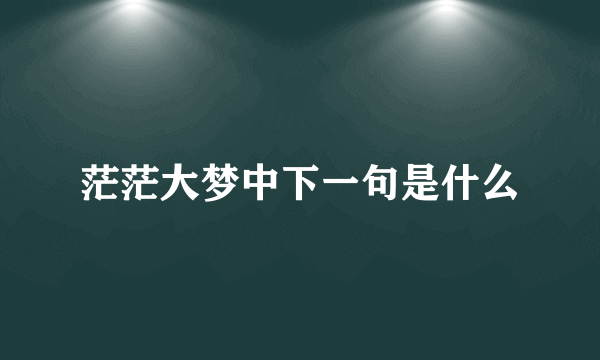 茫茫大梦中下一句是什么