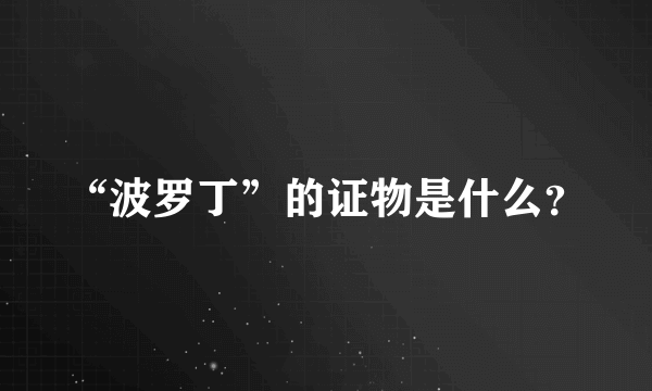 “波罗丁”的证物是什么？