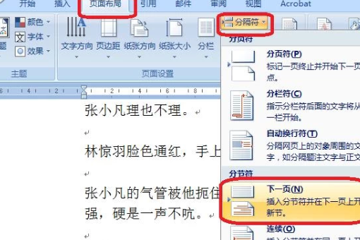 word2007怎样从中间某一页开始设置页码