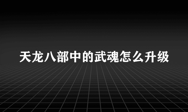 天龙八部中的武魂怎么升级