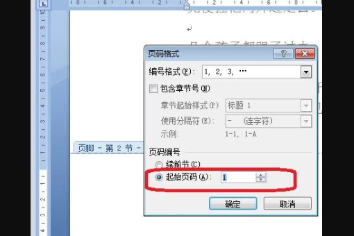 word2007怎样从中间某一页开始设置页码