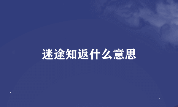 迷途知返什么意思