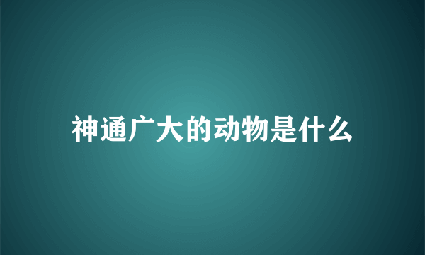 神通广大的动物是什么