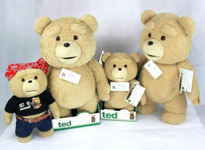 teddy什么意思