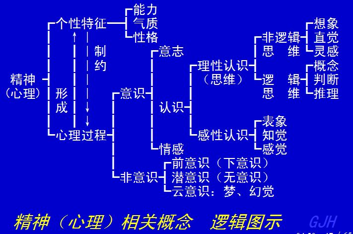 知觉是什么意思