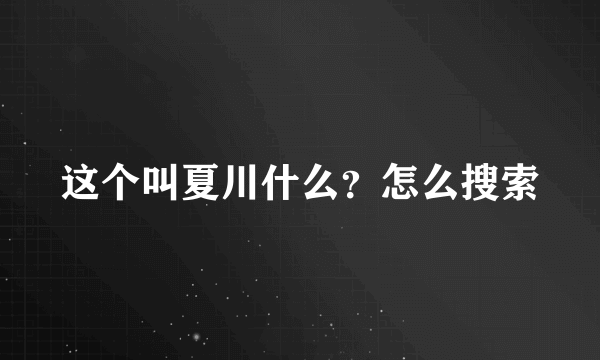 这个叫夏川什么？怎么搜索