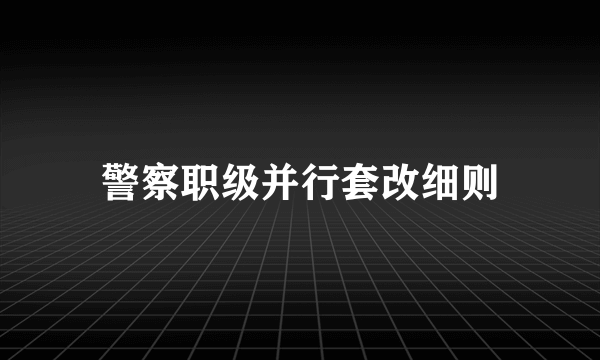 警察职级并行套改细则