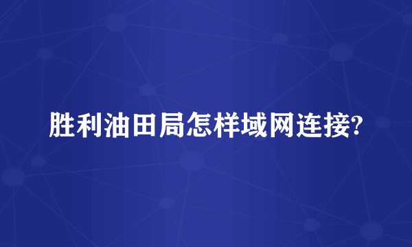 胜利油田局怎样域网连接?