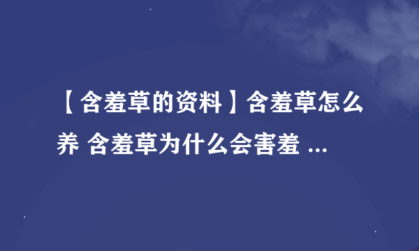 【含羞草的资料】含羞草怎么养 含羞草为什么会害羞 含羞草的特点