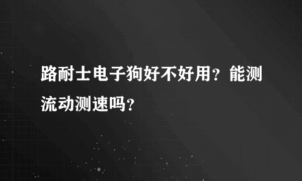 路耐士电子狗好不好用？能测流动测速吗？