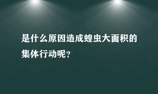 是什么原因造成蝗虫大面积的集体行动呢？