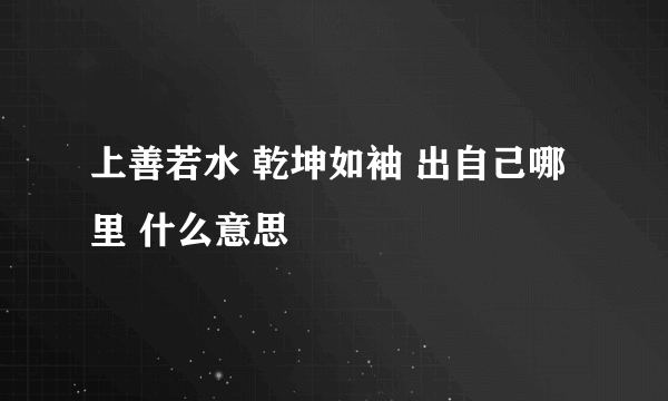 上善若水 乾坤如袖 出自己哪里 什么意思