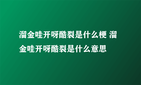 溜金哇开呀酷裂是什么梗 溜金哇开呀酷裂是什么意思