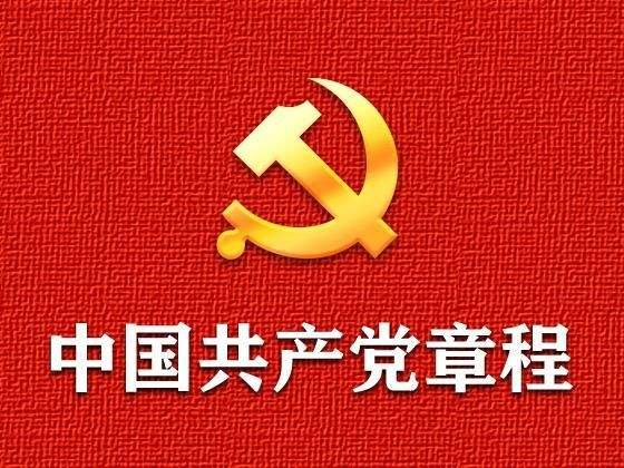 党员个人能否代表党组织发表重要主张和决定重大问题?