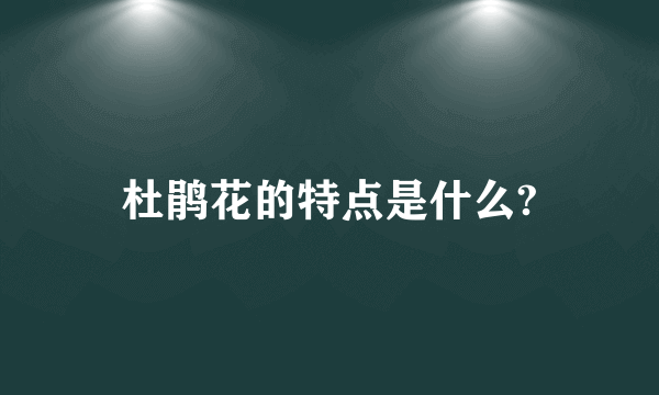 杜鹃花的特点是什么?