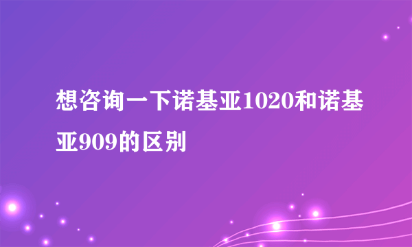 想咨询一下诺基亚1020和诺基亚909的区别