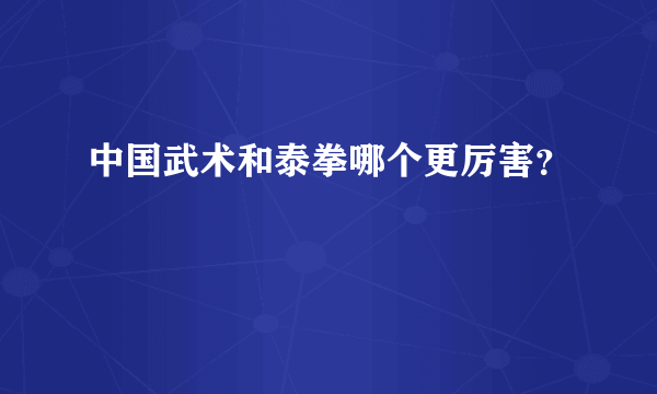 中国武术和泰拳哪个更厉害？