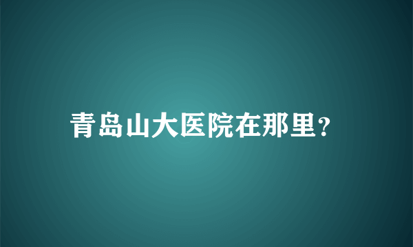 青岛山大医院在那里？