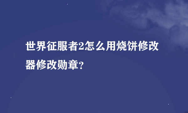 世界征服者2怎么用烧饼修改器修改勋章？