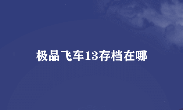 极品飞车13存档在哪