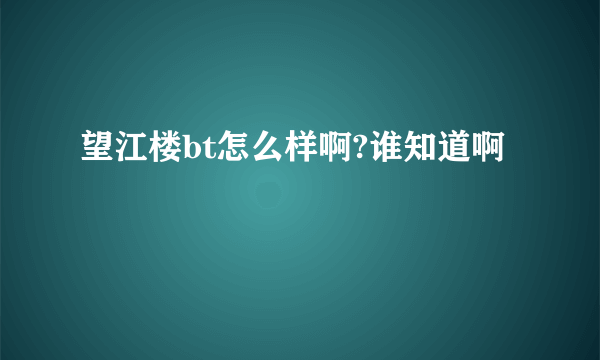 望江楼bt怎么样啊?谁知道啊