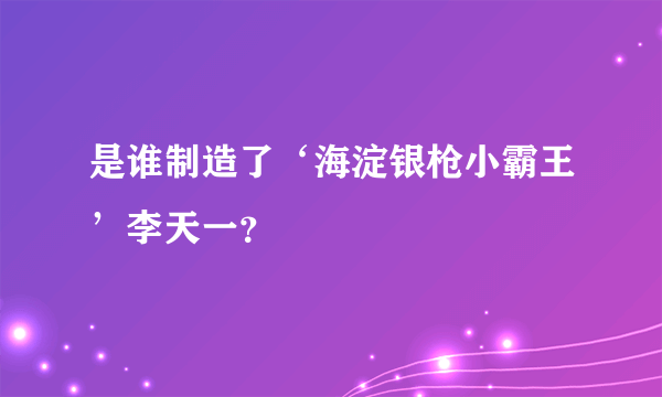 是谁制造了‘海淀银枪小霸王’李天一？