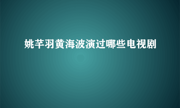 姚芊羽黄海波演过哪些电视剧