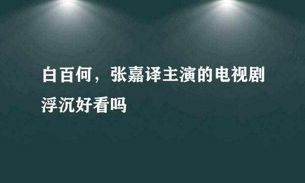 白百何，张嘉译主演的电视剧浮沉好看吗